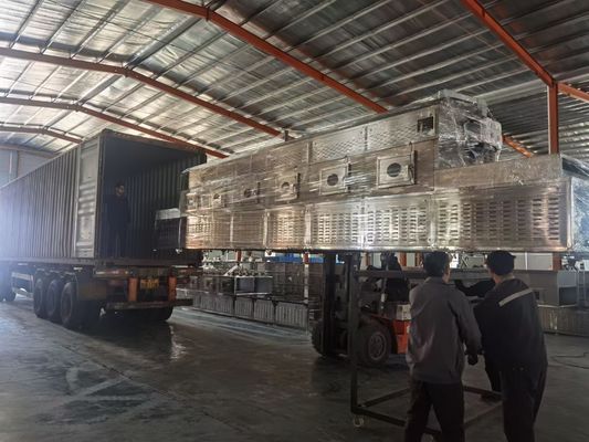 स्टेनलेस स्टील बेल्ट सतत माइक्रोवेव ड्रायर बंध्याकरण कन्वेयर ड्रायर मशीन