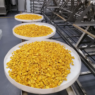 OEM ODM औद्योगिक माइक्रोवेव वैक्यूम ड्रायर एवोकैडो उष्णकटिबंधीय फल सुखाने ओवन