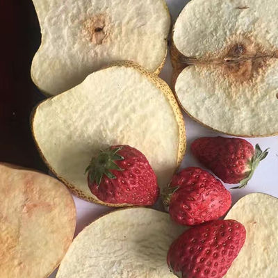 OEM ODM वैक्यूम फ्रीज सुखाने के उपकरण पालतू खाद्य सब्जियां और फल ड्रायर