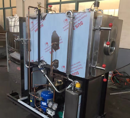 OEM ODM वैक्यूम फ्रीज सुखाने के उपकरण पालतू खाद्य सब्जियां और फल ड्रायर