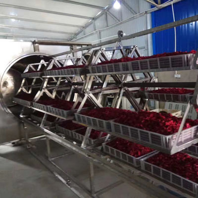 48kw रोटरी वैक्यूम माइक्रोवेव ओवन